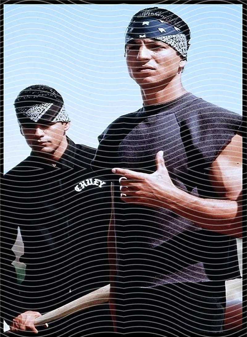 SCARFACE-SF 213